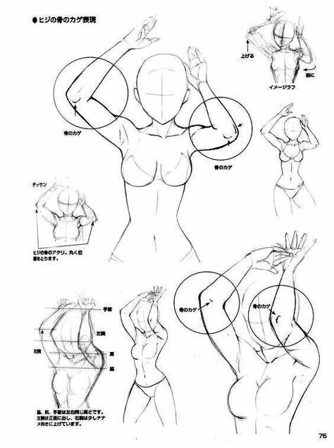 Anatomy Drawing Female, Male Figure Drawing, Human Body Drawing, Drawing Female, Body Drawing Tutorial, Manga Drawing Tutorials, Human Figure Drawing, Body Reference Drawing, Drawing Studies