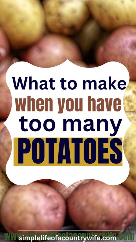 Recipes To Use Potatoes, Easy Cheap Potato Recipes, Dishes To Make With Potatoes, Bag Of Potatoes Recipes, Ways To Cook A Potato, Recipes For Baking Potatoes, What To Do With Lots Of Potatoes, What To Do With A Lot Of Potatoes, Ways To Use Up Potatoes