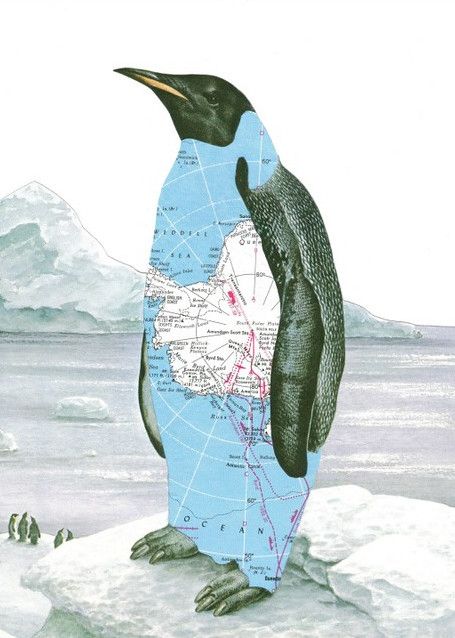 Antarctica Penguin Map Collage by dadadreams on Flickr Antarctica Map, Maps Design, Map Collage, Penguin Art, Collage Art Projects, Paper Collage Art, Art Carte, The Penguin, Art Et Illustration