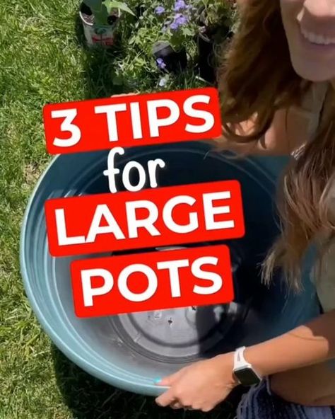 Plants In Big Pots Outdoor, Large Outdoor Potted Plants, What To Fill Big Flower Pots With, Large Planter Hacks, How To Fill Big Planters Large Pots Outdoor, How To Fill Large Outdoor Planters, Filling Large Outdoor Planters, Decorating Pots For Plants, How To Fill Big Planters Large Pots