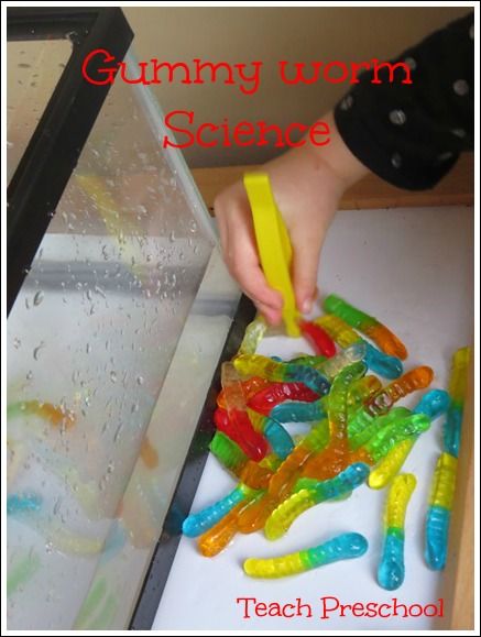 This website is so awesome and will be very helpful in the classroom one day. This activity, done with gummy worms, allows for the children to observe what they see after an overnight experiment. Also on the website, there is different types of art projects that all ages can do that relate to science! Eric Carle Activities Preschool Science, Crawling Critters Preschool, Insect Science Experiments, Plants Preschool, Worms Preschool, Worm Science, Reading Preschool, Insect Science, Prek Science