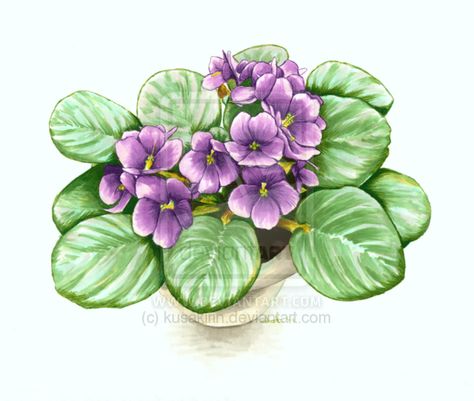 How To Draw An African Violet, African Violets Drawing, African Violet Watercolor, African Violet Tattoo Design, African Violet Painting, African Violets Tattoo, African Violet Drawing, African Violet Tattoo, Violet Flower Tattoos