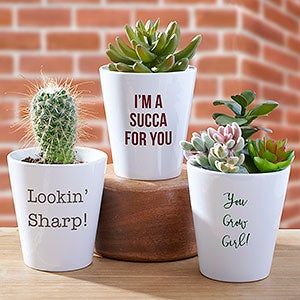 Funny Succulent Pots, Planter Sayings, Gardening Sayings, Urban Composting, Plant Sayings, Mini Herb Garden, Garden Puns, Personalized Flower Pot, Plant Quotes