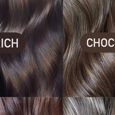 Lakmé Colour on Instagram: "Clients: "I want to go brunette!" ⁠
Us: What kind of brunette? 😅⁠
⁠
Save this to show your clients some of different brunette tones achievable with Lakmé Colour! 🤎🍫⁠
⁠
✨️ @hairbyzoerowe⁠
Roots: Foils using k.blonde and 20vol & toned with 5/00 ⁠
Ends: Equal parts 7/13 + 6/00⁠
⁠
✨️ @the.glosscollective⁠
Roots: Foils - teased weaves using k.blonde and 20vol, processed to a level 8⁠
Ends: Gloss 7/30 + 7/60 + a dash of Pearl and 6vol⁠
⁠
✨️ @rinsed_hairbylauren⁠
Toner: 6/65 + 5/06 ⁠
⁠
✨️ @hart.thehairartistry⁠
Roots: 6/00 + 7/13⁠
Mids: 9/21 + 8/12 with 7/60 lowlights⁠
⁠
#expensivebrunette #Lakmécolor #colorblend #colortransformation #hair #healthyhair #haircare #shine #Lakméshine #hairstyle #hairinspo" Glossier Toner, Brunette Tones, Hair Gloss, Level 8, Color Blending, Healthy Hair, Hair Inspo, Toner, I Want