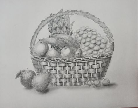 Still Art Fruit Basket Sketch, Basket Sketch, Fruit Basket Drawing, Still Art, Basket Drawing, Fruits Drawing, Pencil Shading, Drawings Simple, Fruit Basket