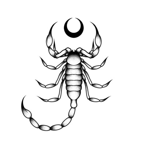 Scorpion Tattoo Design, Wicca Tattoo, Scorpio Zodiac Tattoos, Atlas Tattoo, Small Back Tattoos, Horoscope Tattoos, Scorpio Tattoo, Tattoo Old School, Bug Tattoo