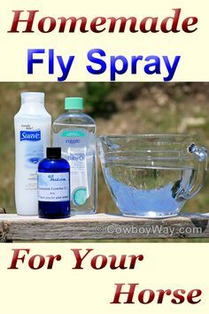 Natural Fly Spray For Horses, Homemade Fly Spray For Horses, Horse Fly Spray Recipe, Diy Horse Fly Spray, Diy Horse Stuff, Horse Fly Spray, Homemade Fly Spray, Natural Fly Repellant, Fly Spray For Horses