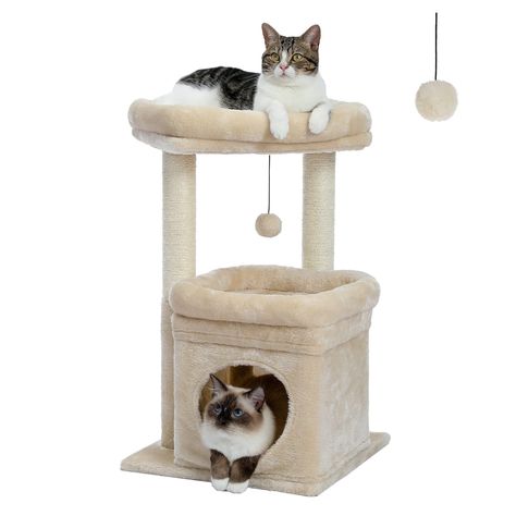 Healthy Room, 2 Kittens, Small Cat Tree, Niche Chat, Have A Sweet Dream, Cat Tree House, Pet Doors, Cat Tree Condo, Cat Perch