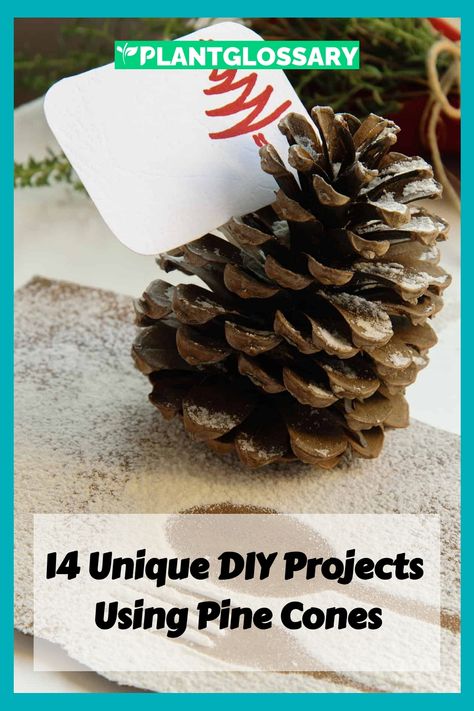 Pine cones are often seen as simple forest finds, but they hold a wealth of creative potential. In this article, we will explore 14 unique ways to use pine cones, from DIY crafts and holiday ornaments to practical household uses and garden enhancements. Learn how to make the most of these natural treasures and bring a touch of rustic charm to your home and outdoor spaces. Large Pine Cones, Ornamental Garden, Cones Crafts, Pine Cone Crafts, Pine Cone, Unique Diy, Holiday Ornaments, Pine Cones, Rustic Charm