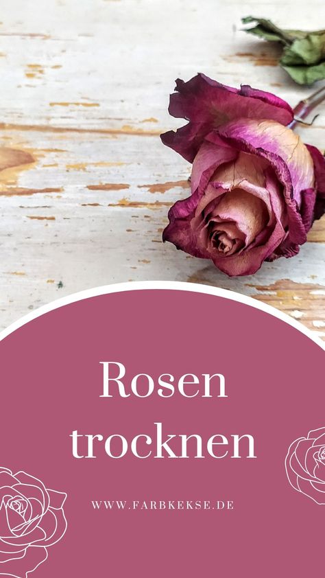 Rosen trocknen und Rosenblüten trocknen Diy And Crafts