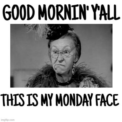 Morning Funnies, Work Related Quotes, Monday Face, Tomorrow Is Monday, Monday Humor, Weekday Quotes, Morning Funny, Cute Good Morning Quotes, Good Morning Funny