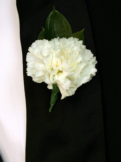 . Carnation Boutonniere, White Boutonniere, Rustic Boutonniere, White Carnation, Rose Boutonniere, Corsage And Boutonniere, Corsage Prom, Wedding Order, Boutonniere Wedding