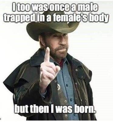 Politikai Humor, Chuck Norris Memes, Chuck Norris Facts, Chuck Norris Jokes, Tim Tebow, King Book, Chuck Norris, Humor Memes, Twisted Humor