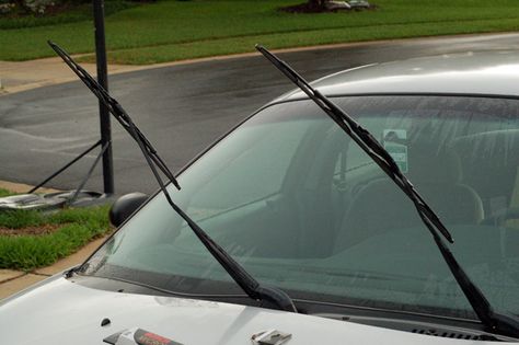 Windshield wipers are a necessary safety feature to any car. The problem is that they don't last forever - but rather need replacing every few years. The rubber blades dry out over time due to use and the sun. How can you tell that you need new wipers? They'll exhibit some of the following symptoms:Streaking waterSqueakyLeave a milky film when wipingAny other reason it seems your wipers aren't performing wellBefore buying new wipers, try simply wiping the dirt and hardened rubber ... Car Repair Diy, Car Buying Tips, Automotive Engineering, Car Cleaning Hacks, Manual Car, Automotive Photography, Car Windshield, Diy Car, Automotive Repair