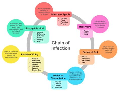 Difference Between Colonization and Infection | Colonization vs Infection Infection Control Nursing Poster, Chain Of Infection Poster, Nurse Instructor, Chain Of Infection, Poster Drawing Ideas, Infection Control Nursing, Communicable Diseases, Foot Reflexology Massage, Health Unit