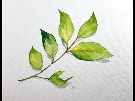 YouTube | Watercolor leaves, Botanical illustration watercolor, Watercolor Watercolor Tutorial Step By Step, Palm Leaf Watercolor, How To Paint Flowers, Painting Leaves, Painting School, Basic Watercolor, Leaf Watercolor, Basic Painting, Art Tutorials Watercolor