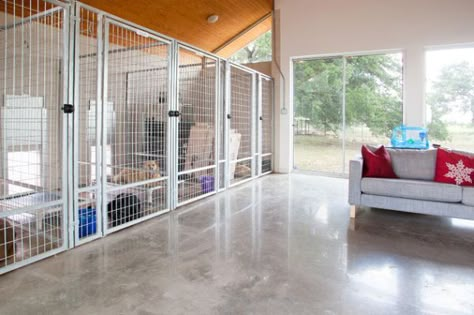 Stylish Dog Houses For Pampered Pooches Luxury Dog Kennels, Dog Boarding Kennels, Indoor Dog Kennel, Dog Kennel Designs, Crazy Home, Dog Spaces, Dog Room, Pet Resort, Dog Kennels