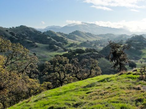 11. Mt. Diablo Walnut Creek California, California Attractions, California Hikes, Contra Costa County, Walnut Creek, Sequoia National Park, East Bay, California Dreamin', California Dreaming