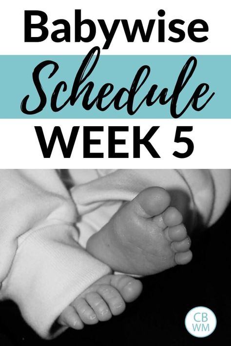 Babywise Schedule week 5. Baby schedule for a 5 week old. Get details on the the fifth week of life for this Babywise baby. See how to get great newborn baby sleep. #babywise #babyschedule #newbornschedule #newborn #babysleep Baby Sleeping Temperature, Baby Sleeping Bag Pattern, Babywise Schedule, Baby Wise, Gripe Water, Newborn Schedule, Toddler Schedule, Week Schedule, Baby Schedule