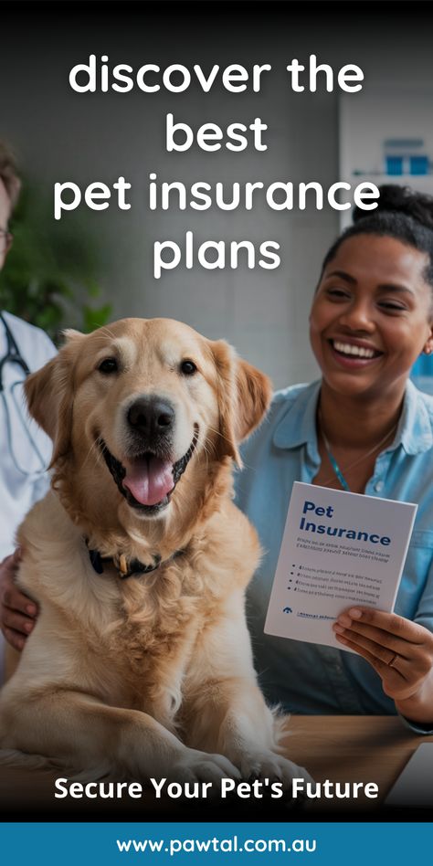 Discover the Best Pet Insurance Plans; Your ultimate guide Reactive Dog, Dog Insurance, Pet Videos, Pet Insurance, Shower Time, Start Reading, Dog Obedience, Pictures Funny, Dog Trainer