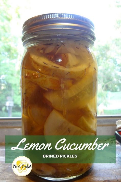 Make Your Own Pickles, Pickle Bar, Lemon Cucumbers, Pickled Sweet Peppers, Yellow Cucumber, Pickle Seasoning, Jelly Making, Pickled Recipes, Pickle Recipes Homemade