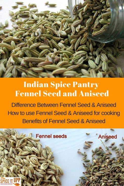 fennel spice and Aniseed - difference and uses Fennel Benefits Women, Recipes Using Fennel, Anise Benefits, Cooking Fennel, Spices List, Spice Pantry, Benefits Of Fennel, Essential Spices, List Of Spices