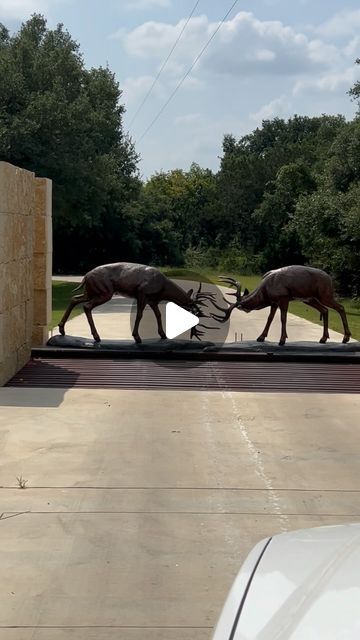 Sierra Mesa Ranch on Instagram: "The best gate for a whitetail ranch!  I was ready to move in to @hatadawhitetails 🦌

#homedesign #homedecor #landscapedesign #bronzeart #bronzestatue #whitetaildeer #deer #texas #sierramesaranch" Ranch Gates Entrance Ideas, Gate Entrance Ideas, Ranch Entrance Ideas, Entrance Gates Driveway, With Color, Ranch Gates, Log Cabin Interior, Entrance Ideas, Texas Ranch