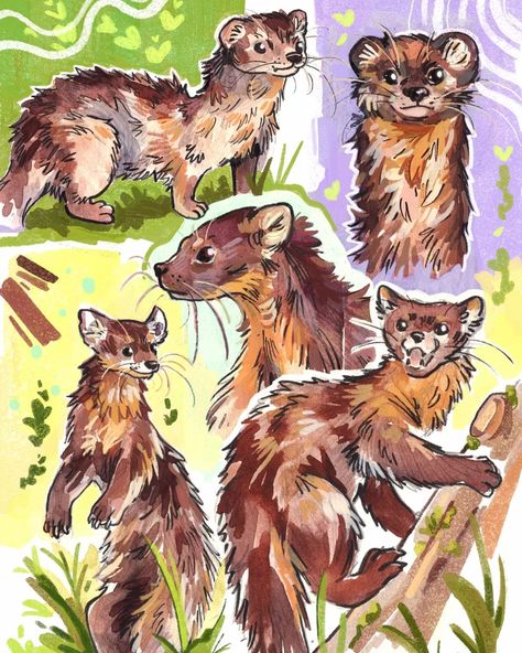 Some Martens 🦦 Here's the sketchbook page for August! I love learning how to draw different animals! What's your favourite animal to draw? #sketchbook #sketchbookpage #illustration #markers #watercolor #royaltalens Illustration Markers, Really Cool Drawings, The Sketchbook, Love Learning, Nature Drawing, Concept Art Drawing, Sketchbook Inspiration, Animal Sketches, Book Art Drawings