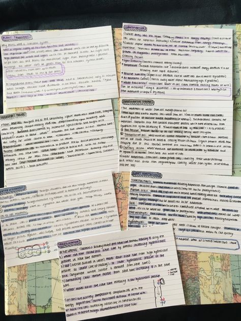 A Level Student Aesthetic, A Level Biology Flashcards, Flash Cards Ideas Study Aesthetic, Revision Cards Ideas, Flash Cards Revision, Flash Cards Aesthetic, Flash Cards Ideas Study, Alevel Biology, Transport In Plants