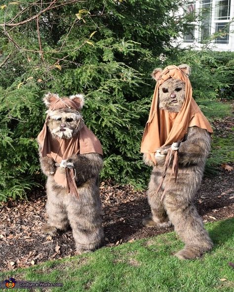 Ewok Costume Diy, Ewok Costume, Star Wars Ewok, Halloween Costumes 2016, Homemade Costume, Costume Works, 2024 Ideas, Types Of Mold, Return Of The Jedi