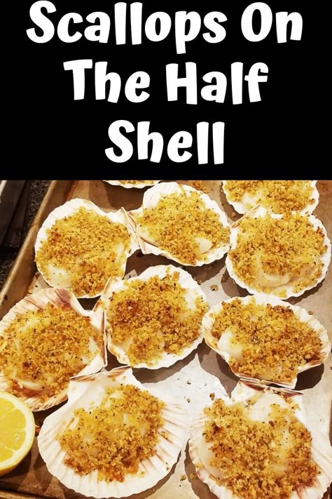 Half Shell Scallop Recipe, Scallops On The Half Shell Recipe, Stuffed Scallops In Shell, Scallops In Shell, Seafood Party Food, Broil Recipes, Scallop Appetizer, Baked Brisket, Feast Of Seven Fishes