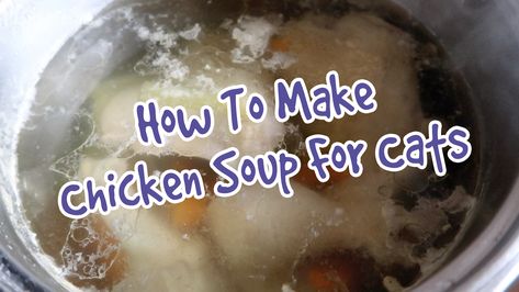 How To Make Homemade Chicken Soup For Cats – Chicken Broth For Cats Recipe Boiled Chicken And Rice, Chicken Bone Broth Recipe, Panini Recipes Chicken, Boiled Chicken Recipes, Chicken Broth Recipes, Chicken Shawarma Recipe, Homemade Cat Food, Homemade Chicken Soup, Cheesy Chicken Broccoli