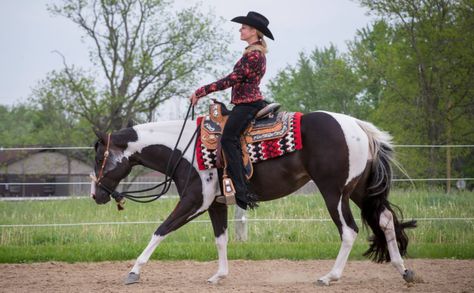 5 Things People Should Stop Saying About Western Pleasure – The Horseaholic Western Pleasure Riding, Aqha Western Pleasure, Western Pleasure Outfit, Western Horse Riding, Diy Horse Barn, Western Pleasure Horses, American Paint Horse, Reining Horses, Horse Show Clothes