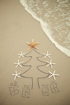 Beach Christmas Florida Christmas, Beachy Christmas, Tropical Christmas, Beach Christmas, Coastal Christmas, Christmas Trends, Phone Background, Noel Christmas, Christmas Tree Lighting