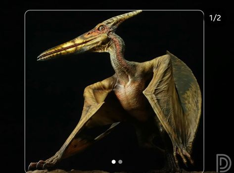 Pteranodon Art, Montauk Project, Ancient Animals, Paleo Art, Dinosaur Art, Jurassic Park World, The Titans, Jurassic Park, Fantasy Creatures