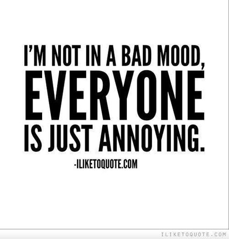 Everyone Is Annoying, Annoying People Quotes, Annoyed Quotes, Workplace Quotes, In A Bad Mood, Now Quotes, Annoying People, Savage Quotes, Senior Quotes