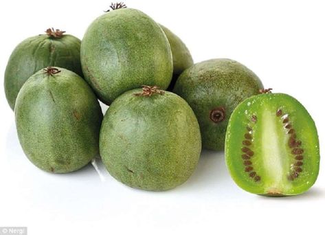 Britain's next favourite superfood? Mini European kiwi berries called Nergi fruit arrive in UK supermarkets for the first time – and they’re billed as helping to banish wrinkles Kiwi Berries, Honeydew, Kiwi, Go On, M S, Wrinkles, Avocado, First Time, On Sale