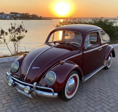 1967 Volkswagen Beetle, Old Fashion Cars, Old Volkswagen, Classic Beetle, Volkswagen Beetle Vintage, 60s Cars, 70s Cars, Ultimate Road Trip, Cool Old Cars