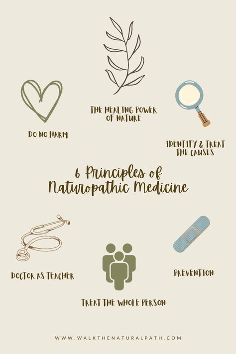 Principles of Naturopathic Medicine | Natural Healing | Walk The Natural Path. The underpinnings of naturopathic medical practice are found in the these six principles! Get inspired by naturopathic health, natural medicine doctors, naturopathic healing, and natural medicine. Want to learn more about naturopathic medicine? Connect with Dr. B at walkthenaturalpath.com & follow on IG @walkthenaturalpath! Naturopathic Medicine Naturopathy, Pilates Interior, Natural Path, Teacher Treats, Medical School Life, Healing Center, Naturopathic Medicine, Naturopathic Doctor, Medicine Doctor