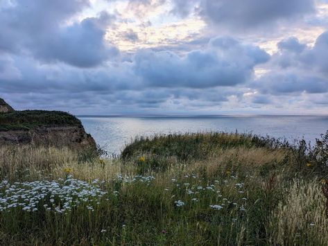 #beaches #cliff #grass #flowers #nature #clouds Sea Cliff Aesthetic, Grassy Cliff, Beach Cliff Aesthetic, Beach Cliff Painting, Ocean Cliff, Morning View, Beautiful Ocean, Desktop Wallpaper, Flowers