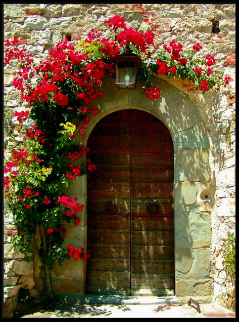 Door to Castelo di Orvieto, a winery in the Tuscan region of Northern Italy Doors Garden, Vintage Doors, Cool Doors, Rustic Doors, Steel Door, Old Door, Old Doors, Garden Doors, Front Entry