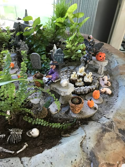 Witchy Fairy Garden, Goth Fairy Garden, Gothic Fairy Garden, Haunted Fairy Garden, Halloween Fairy Garden Ideas, Spooky Fairy Garden, Halloween Fairy House, Diy Halloween Fairy Garden, Spooky Terrarium