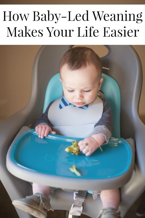 My Life Well Loved: Baby Led Weaning and How it Makes Your Life Easier 8 Month Old Baby Food, Baby Meal Plan, Baby Led Weaning First Foods, Weaning Foods, 7 Month Old Baby, Baby Led Weaning Recipes, Weaning Recipes, Baby Weaning, Homemade Baby Foods