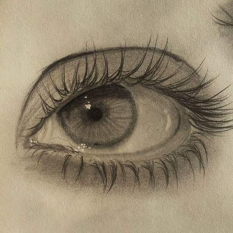 Watery Eyes Drawing, Eye Highlights Drawing, Real Eye Drawing, Mad Eyes Drawing, How To Draw Lashes, Sketchbook Ideas Doodles, Iris Drawing, Eyelashes Drawing, Fountain Pen Drawing