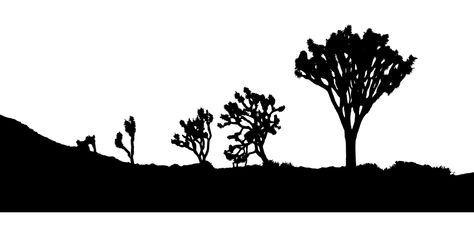 Soap Images, Joshua Trees, Landscape Silhouette, Trees Landscape, Sunset Silhouette, Free Clipart Images, Silhouette Clip Art, Desert Landscape, Cool House Designs