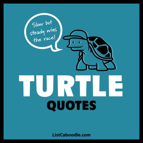 best turtle quotes and sayings Funny Turtle Quotes, Sea Turtle Sayings, Quotes About Turtles, Turtle Captions Instagram, Turtle Sayings Quotes, Turtle Quotes Inspiration, Sea Turtle Quotes, Turtle Sayings, Turtle Jokes