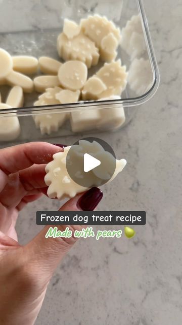 EmeryPets on Instagram: "Frozen dog treat recipe made with pears! 🍐

@emerypets.co treat mold: hedgehog + bunny

Recipe:
-to a blender, add 1/4 cup of pears (without seeds and skin), 3oz plain Greek yogurt and 2oz of bone broth that is safe for dogs
-blend and pour the mixture into your treat mold
-freeze for 3-5 hours" Pear Dog Treats, Frozen Dog Treats Recipes, Bunny Recipes, Pet Treats Recipes, Dog Treat Recipe, Frozen Dog Treats, Frozen Dog, Dog Treat Recipes, Dog Treat