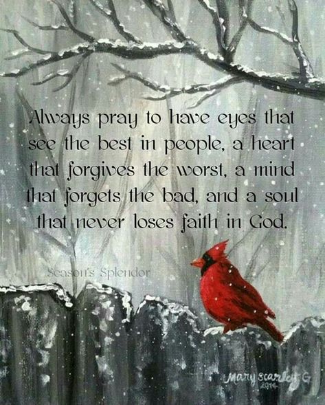 #Red #Quote #Cardinal #Bird #Faith #God #Jesus #Forgiveness #Pray Cardinal Quotes, Optimistic Quotes, Cardinal Bird, Red Bird, Memories Quotes, Inspirational Prayers, Bird Lover, Prayer Quotes, Faith In God