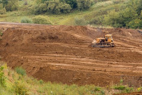 How Much Does It Cost to Clear Land? https://trib.al/ygLQIOY Stump Removal, Land Clearing, Louisiana Usa, Land Surveying, Small Shrubs, Yard Waste, Soil Testing, Building Permits, Web Designers