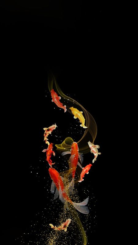 Fish Art Wallpaper, Fish Wallpaper Iphone, Koi Wallpaper, Iphone Wallpaper Blur, Fish Background, Coy Fish, Watercolor Wallpaper Iphone, Dragon Wallpaper Iphone, Lucky Wallpaper